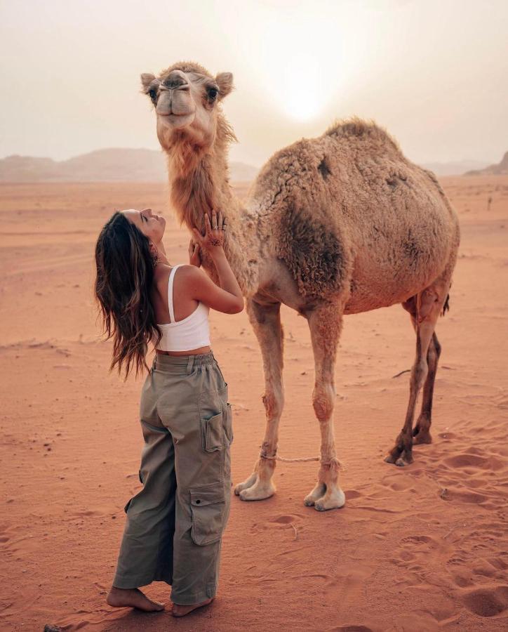 Wadi Rum Camp Eksteriør bilde