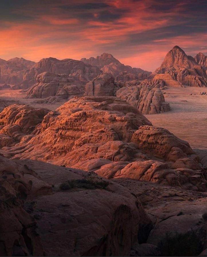 Wadi Rum Camp Eksteriør bilde