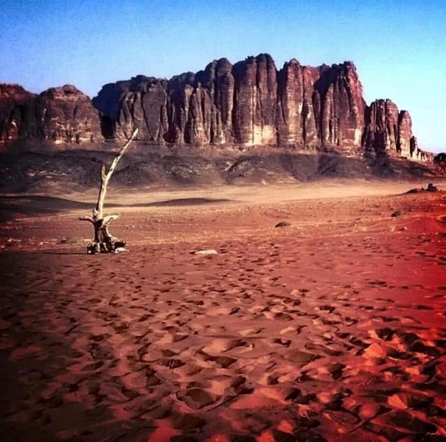 Wadi Rum Camp Eksteriør bilde