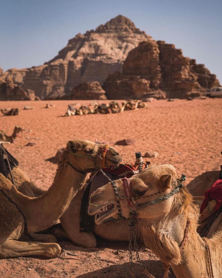 Wadi Rum Camp Eksteriør bilde